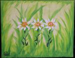 DreiBLUMEN